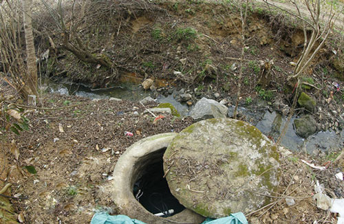 浠水养殖场任性排污 200多村民吃臭水