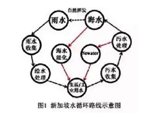 王凯军：科技创新带动产业升级 新加坡水行业启示