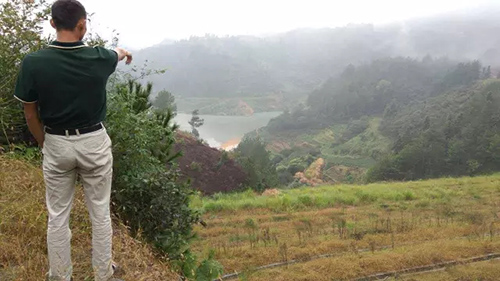 丽水农村基层腐败 矿业流毒腐化绿水青山