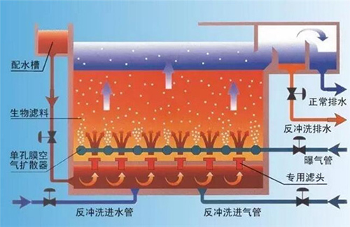 曝气生物滤池：到底除磷和硝化该如何共存？