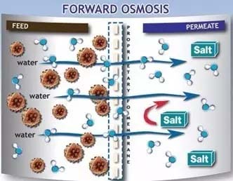 正渗透是否能够成为解决MBR膜污染