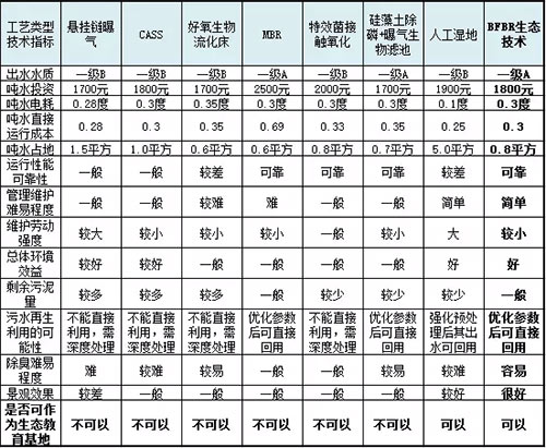 国内最先进工艺技术BFBR生态处理技术