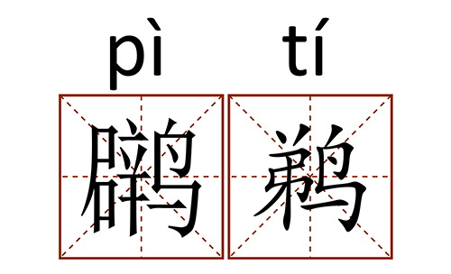 你听说过小䴙鹈吗？绿水行动 小䴙鹈带着哈希等你哟