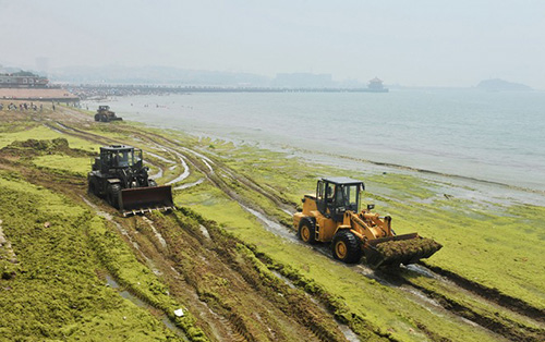 马德毅：近海水污染严重 全国自然海岸线告急