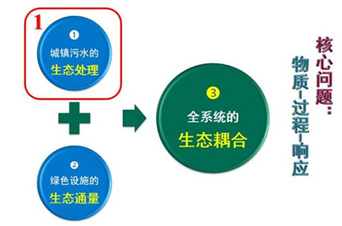 曲久辉：城市水环境治理的生态过程与风险控制