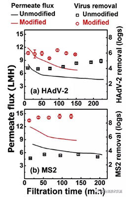 接枝改性提高超滤膜的病毒去除能力