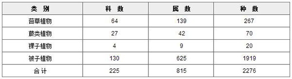 “淡水贮存库”生态湿地：维护水资源安全的治本之策