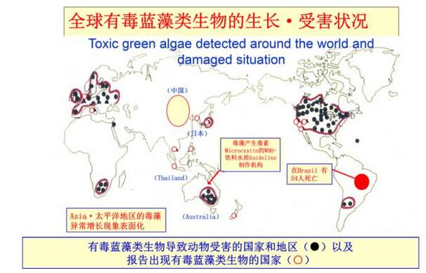 徐开钦：日本流域水环境综合治理的思路及对策