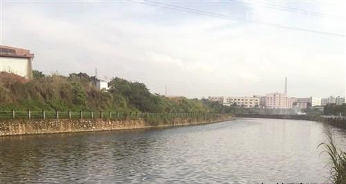 东莞环保局督导学校周边河涌水污染治理工作