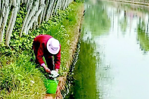 盘龙江大观河市民洗车洗衣物 污水直流进河