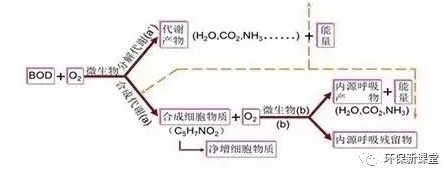 浅谈！活性污泥法中高低负荷运行的误区！