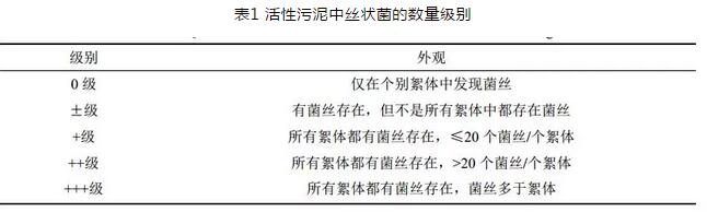 不了解污泥膨胀和生物泡沫的形成机理和控制方法？看这篇就够了