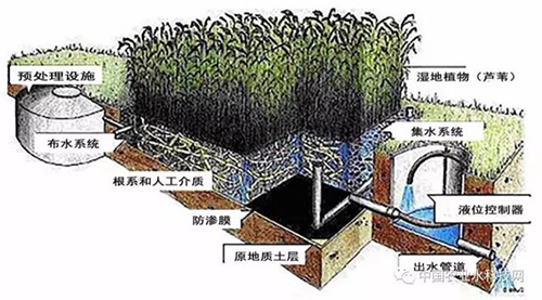 技术分享：黑臭河道生态修复技术