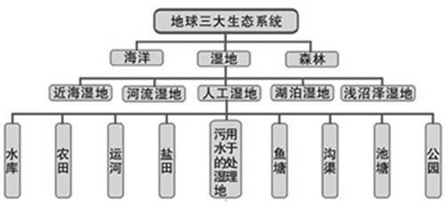 不要忽视小微水体的生态作用 探讨池塘生态链