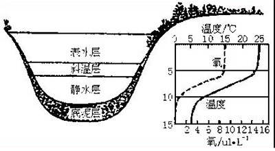 全面解析循环水处理九大腐蚀机理