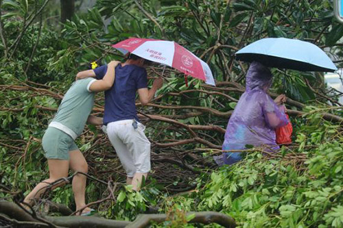 台风“天鸽”致珠海2人死亡 部分地区停水停电