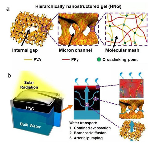 最新Nature Nanotech：太阳光淡化海水研究取得新突破