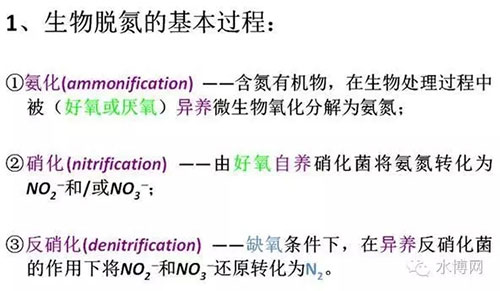 浅析废水生物脱氮的基本原理