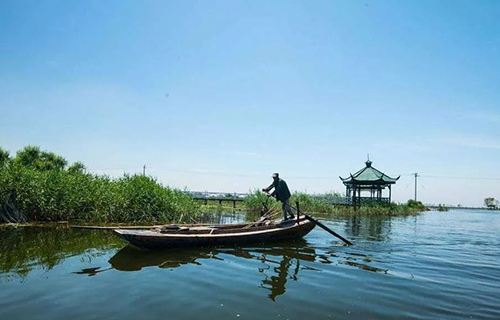 样板的光芒：千乘万骑到雄安