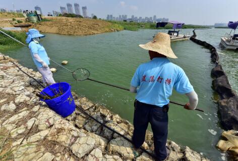 中央财政对气水土专项资金支持不再“吃大锅饭”