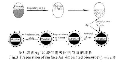 新型高效改性材料在重金属废水处理中的应用