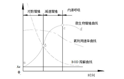 活性污泥的性能指标是什么？运行关注点是什么？