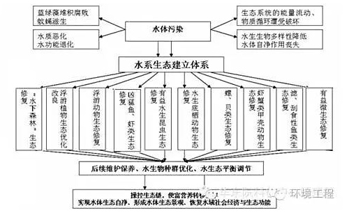 黑臭水体治理的根本：内源污染消除和水生态恢复