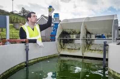 英国研究出高效海藻池 能够有效去除废水中80-96%的磷