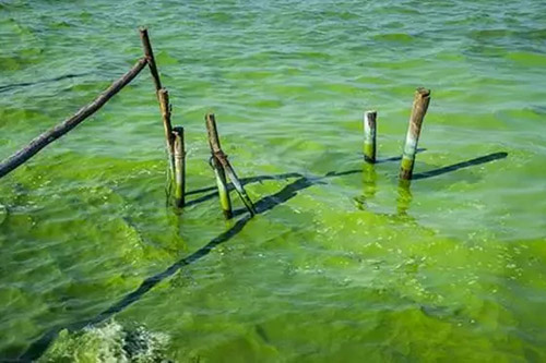 重金打造“四类水”提标 需更多良心工程！