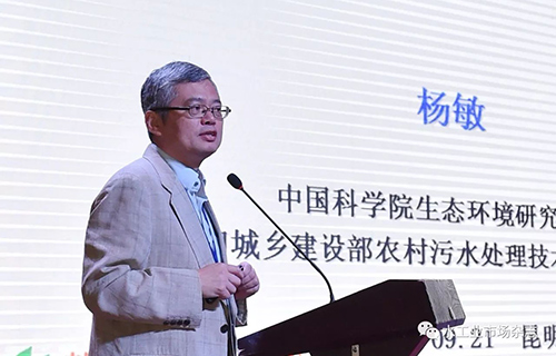 杨敏：中国农村污水治理的现状与挑战