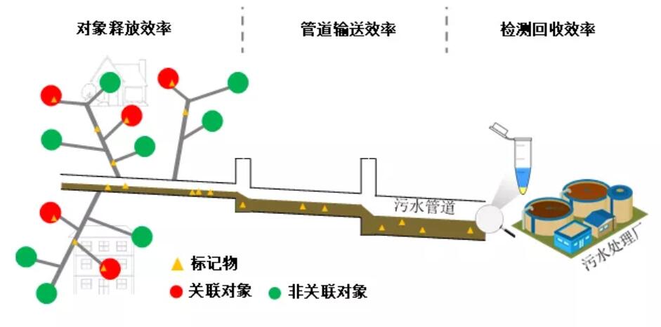 最新综述ǀ污水流行病学（WBE）用于新冠肺炎COVID-19预警