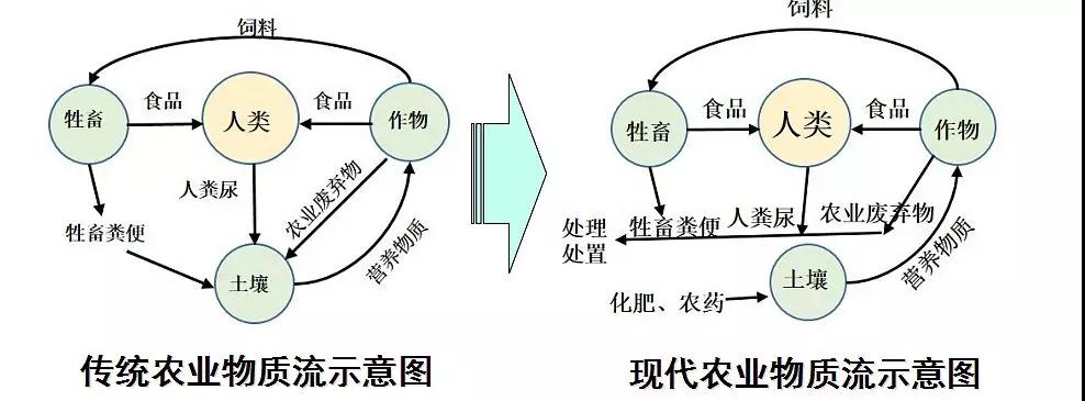 刘俊新：如何遵循环境可持续性理念开展农村污水治理