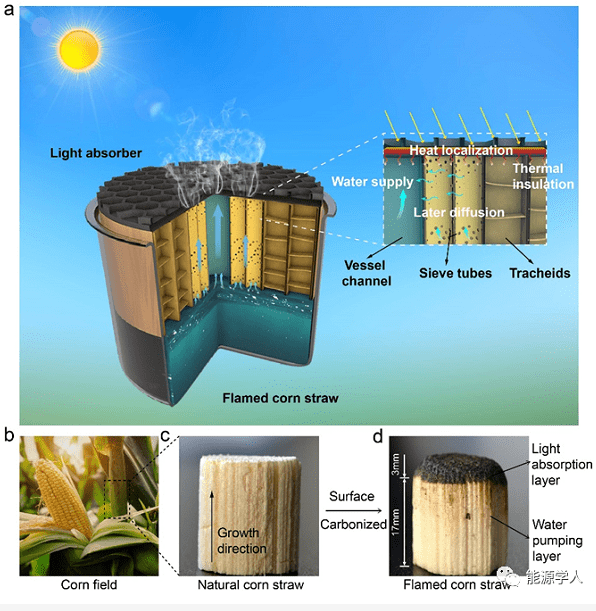 玉米秸秆蒸发体用于太阳能海水淡化