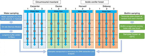 生物多样性新标尺“环境DNA”的秘密：持久性就2天