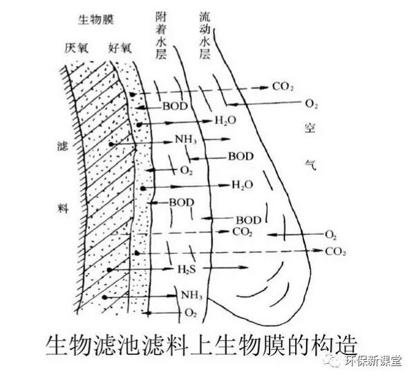 收藏！最全的生物膜法概述 带你看懂生物膜！