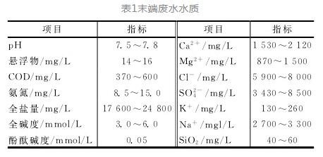 火电厂全厂末端废水分盐处理工程实例