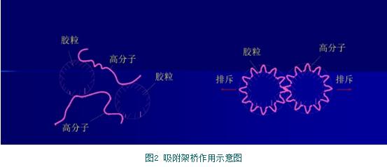 别再被混凝给搞“混”了 “凝”下心来 花5分钟让您“清净”！