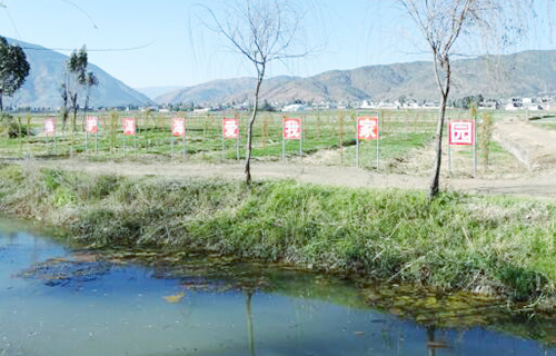洱源建万亩湿地提升入洱海河流水质