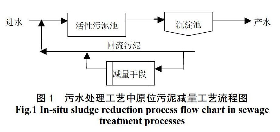 污水处理厂污泥减量化技术的探讨