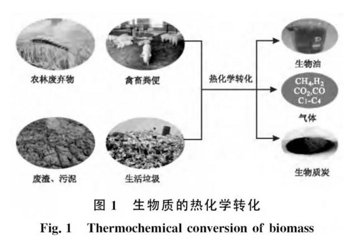 废弃生物质水热炭化技术及其产物在废水处理中的应用进展