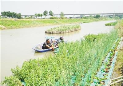 污水处理能力不足成城市发展瓶颈 设施短板如何补齐