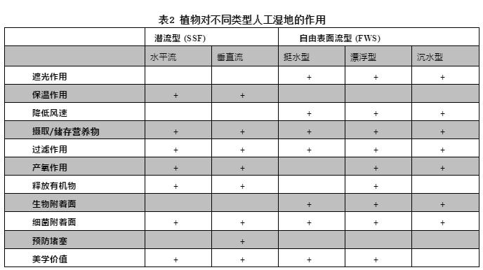 细数植物在人工湿地污水处理中的作用