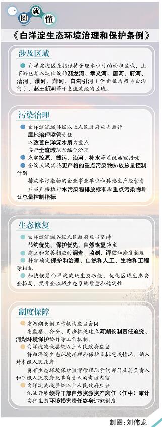 雄安新区设立四周年之际 《白洋淀生态环境治理和保护条例》正式施行