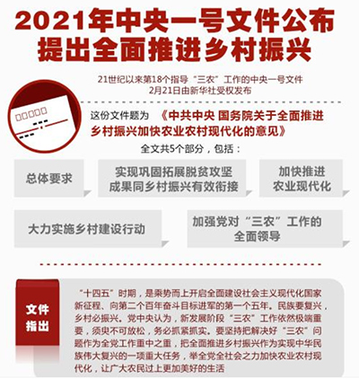 2021年中央一号文件公布 提出全面推进乡村振兴