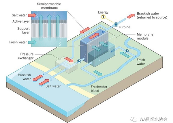 前沿｜污水产能新技术——混合污水与海水回收电能