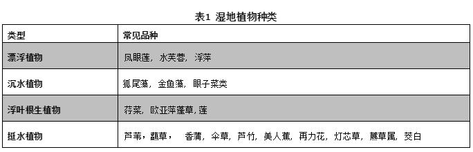 细数植物在人工湿地污水处理中的作用