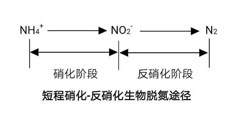 生化法除氨氮的技术汇总！