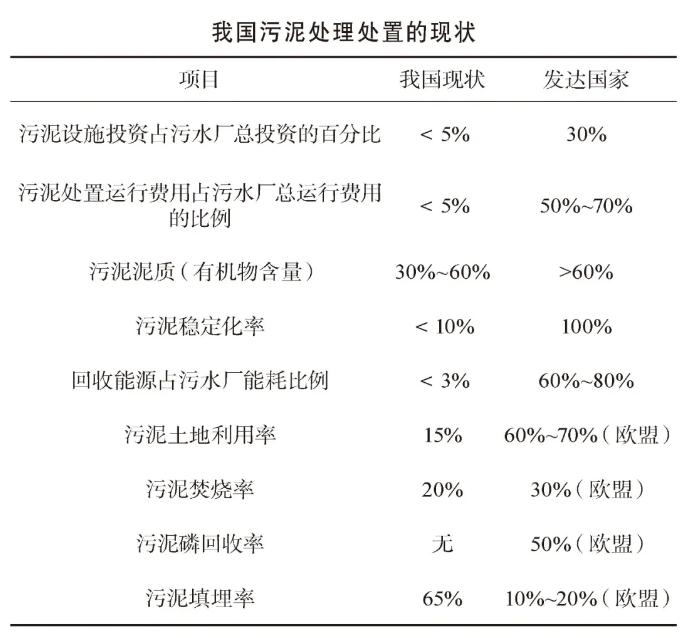 戴晓虎：我国污泥处理处置现状及发展趋势