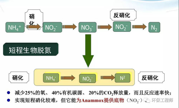 厌氧氨氧化与短程硝化反硝化的区别！