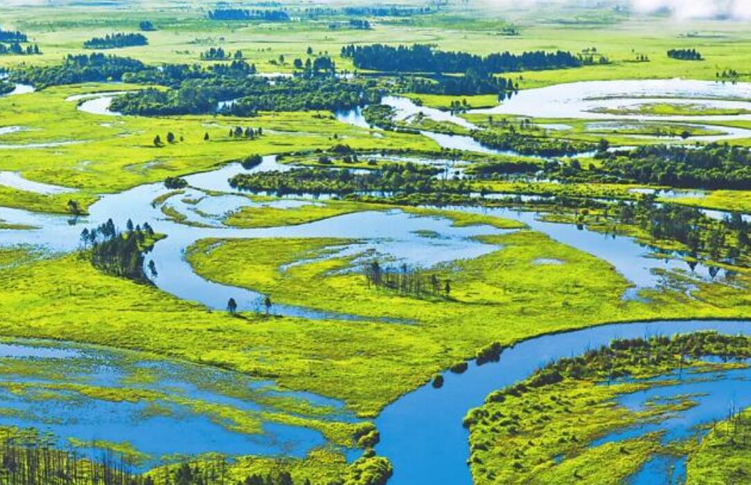 专家详细解读｜黄河湿地保护区为什么不能养鱼？
